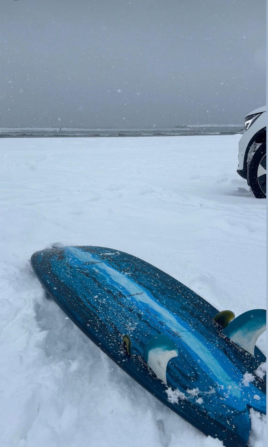 伊良湖週末波予想